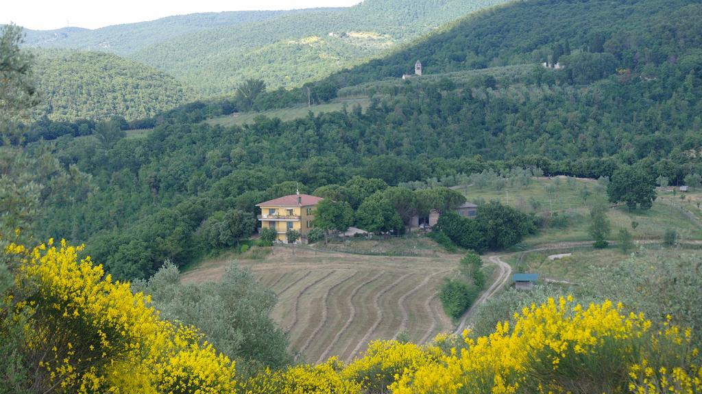Agriturismo Fattoria Poggio Boalaio Orvieto Exterior photo